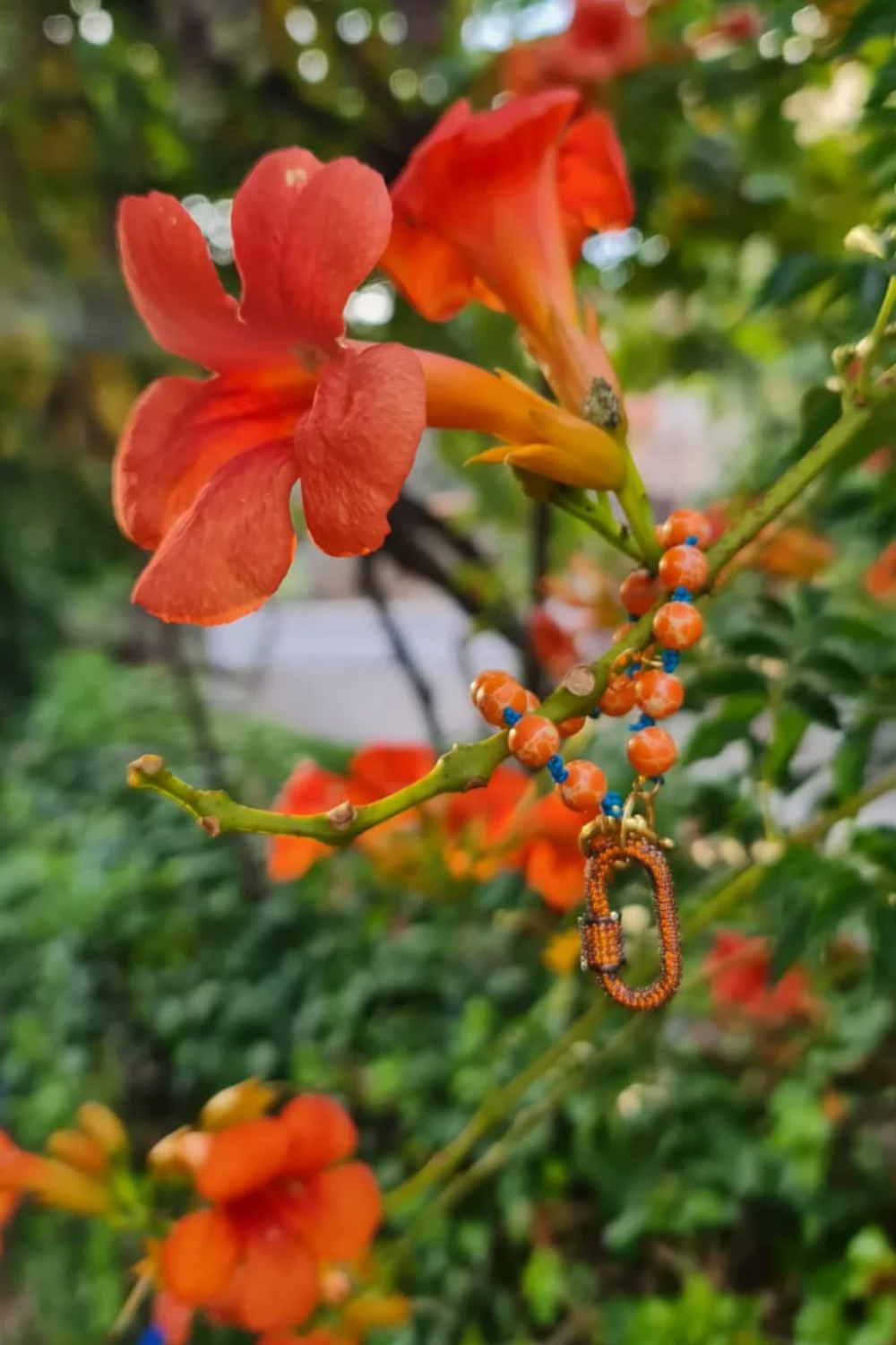 Bracelete Campsis